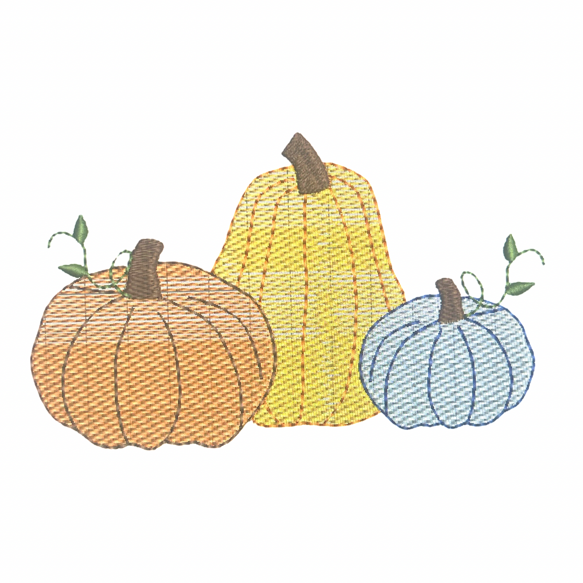 Pumpkin Sketch Design (Boy Version)