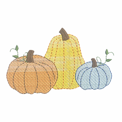Pumpkin Sketch Design (Boy Version)